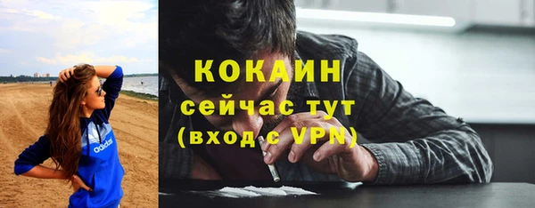 крисы Армянск