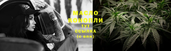 крисы Армянск