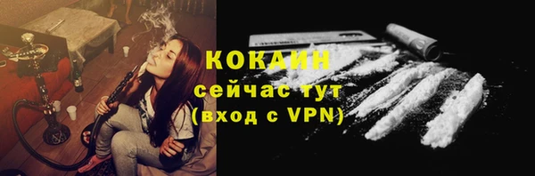 крисы Армянск