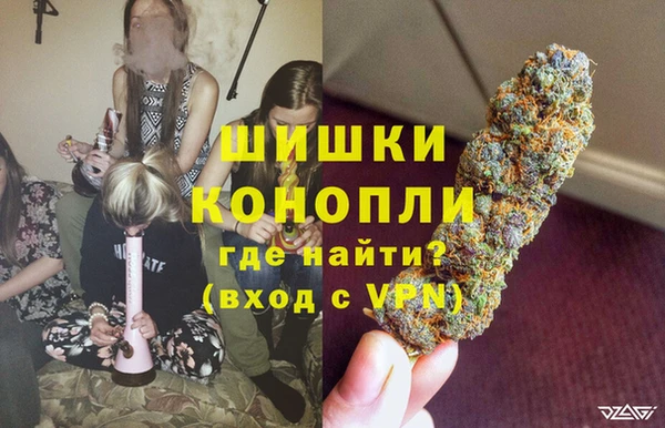 крисы Армянск