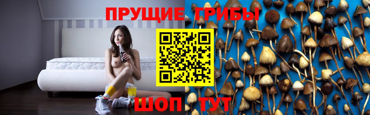 Галлюциногенные грибы ЛСД Шуя
